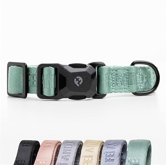 2026 New Edition, Fei & Eve MagEase Dog Collar - Patented Magnetic Buckles | Fur-Safe | Premium 210D Nylon | 450LB Escape-Proof | Adjustable Fit | Medium (Glacier Green)