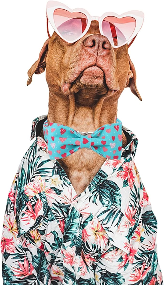 DOGWONG Valentine's Dog Collar With Bowtie - Blue Heart Adjustable Cotton Collar for Small, Medium, Large Dogs