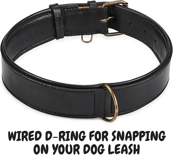 Real Leather Dog Collar Padded Soft Interiors with Premium Vintage Look Handcrafted Heavy Duty with Tag Ring for Small Medium and Large Pets (X-Large (1.75" Wide for 20" - 24" Neck), Black)