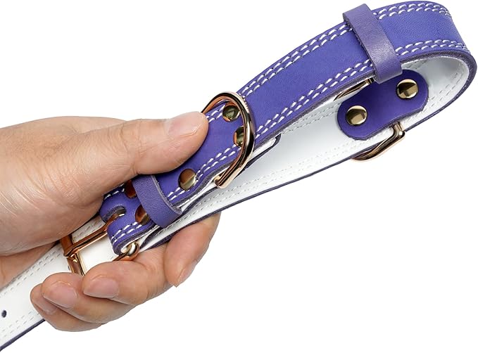 Genuine Leather Dog Collar, Heavy Duty Dog Collar, Wide Dog Collar for Small, Medium, Large and Extra Large Dogs (L: 1.2" Wide for 16.2"-22" Neck, Dual Stitch - Purple)