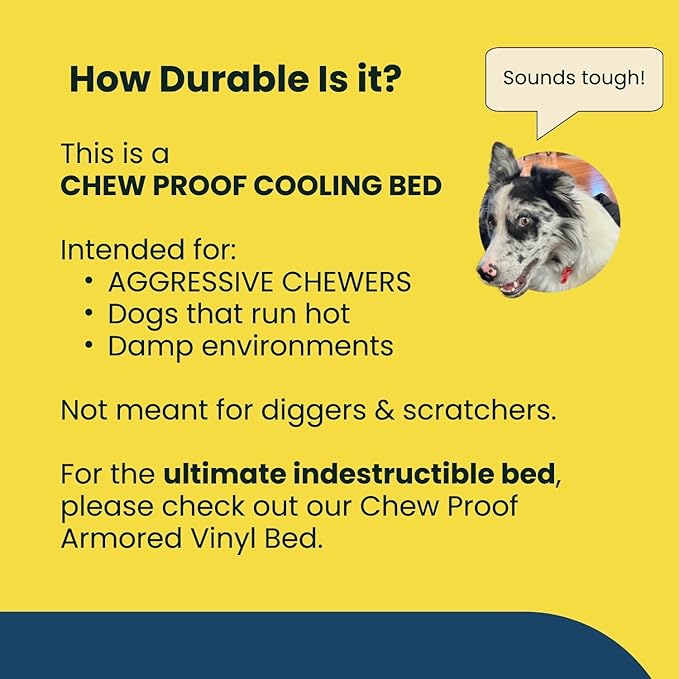 K9 Ballistics Chew Proof Elevated Outdoor Cooling Cot Bed for X Large Dogs - Virtually Indestructible, Preassembled, Withstands Aggressive Chewers - XL, Black Mesh