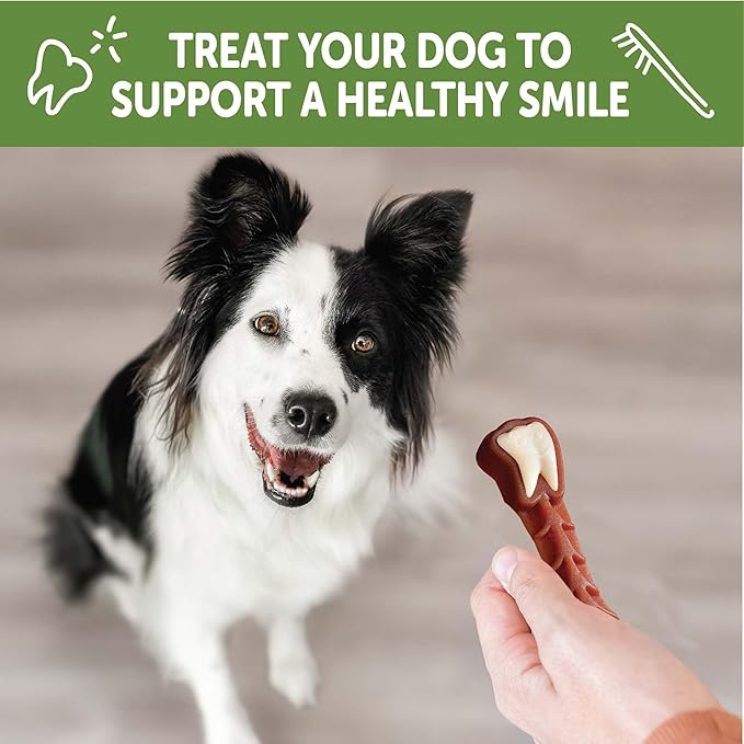 WHIMZEES Wellness Brushzees Dog Dental Treats, Natural Chews, Medium Size Stick, (12 Count)
