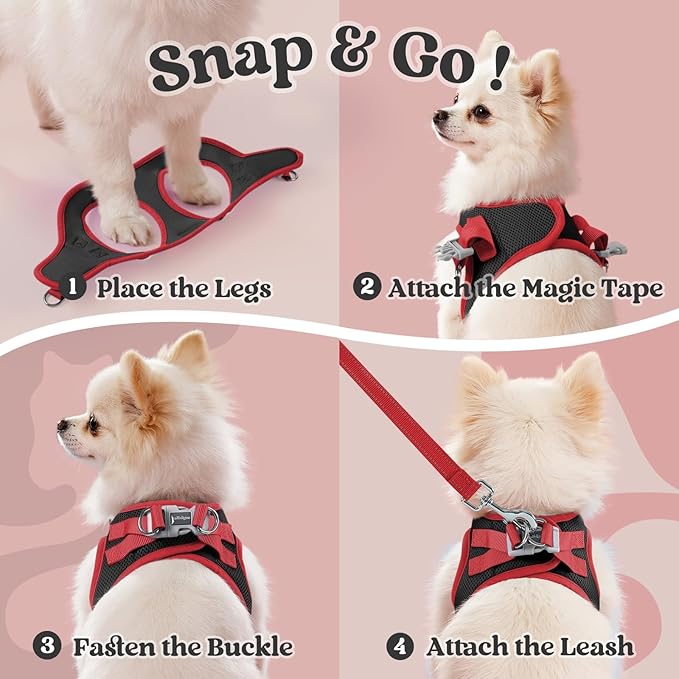 rabbitgoo Dog Harness Small Sized and Leash Set, Step-in Breathable Pet Harness, Soft Walking Reflective Puppy Vest for Small Dogs, Black & Red, XS