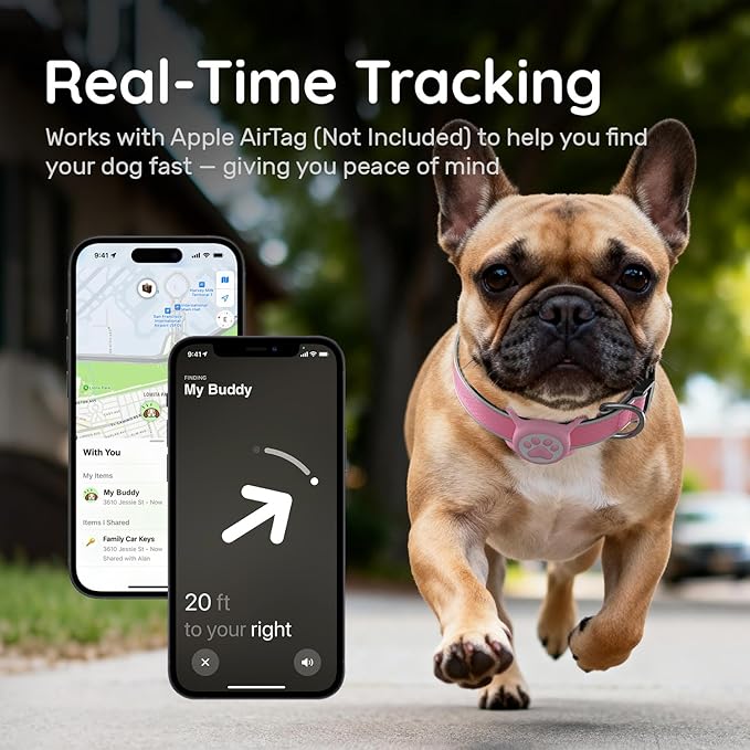 Reflective Dog Collar with Waterproof Air tagholder & Anti-Lost QR Code | Ultra-Durable | Soft Padded | Safety Locking Buckle | Fit Large Dogs (Neon Pink L(15.7"-23.6"))