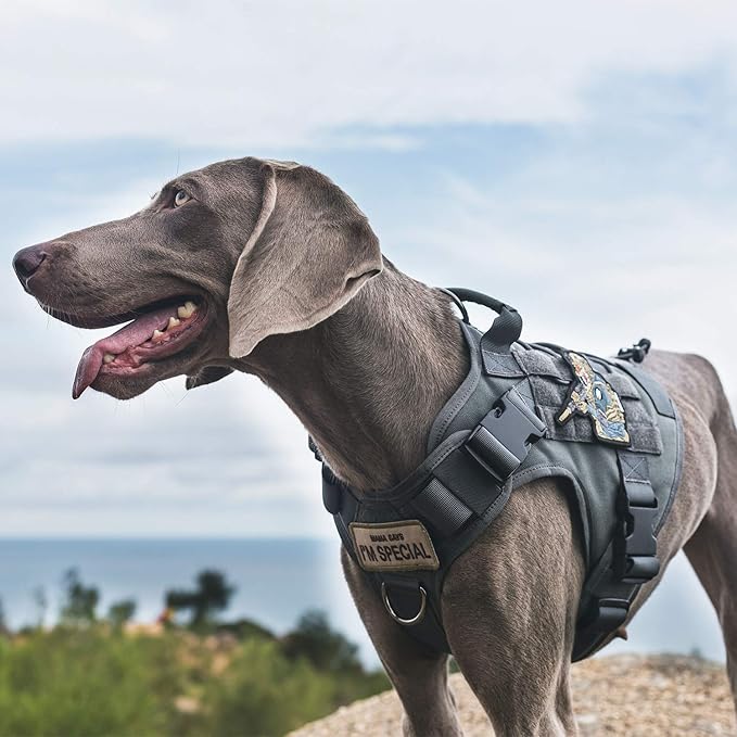 OneTigris Tactical Dog Training Vest No Pull Harness for Dogs,Adjustable Dog Hiking Harness Working Vest(Grey, Large)