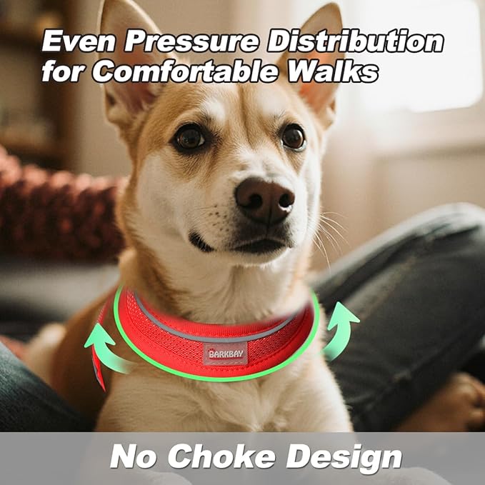 Dog Harness and Leash Set,Step in Small Sized Dog Harness,Soft Mesh,No-Chock,Reflective Adjustable,Secure with Hook & Loop Fastener,Puppy Vest for Small,Medium Dogs(Red,L)