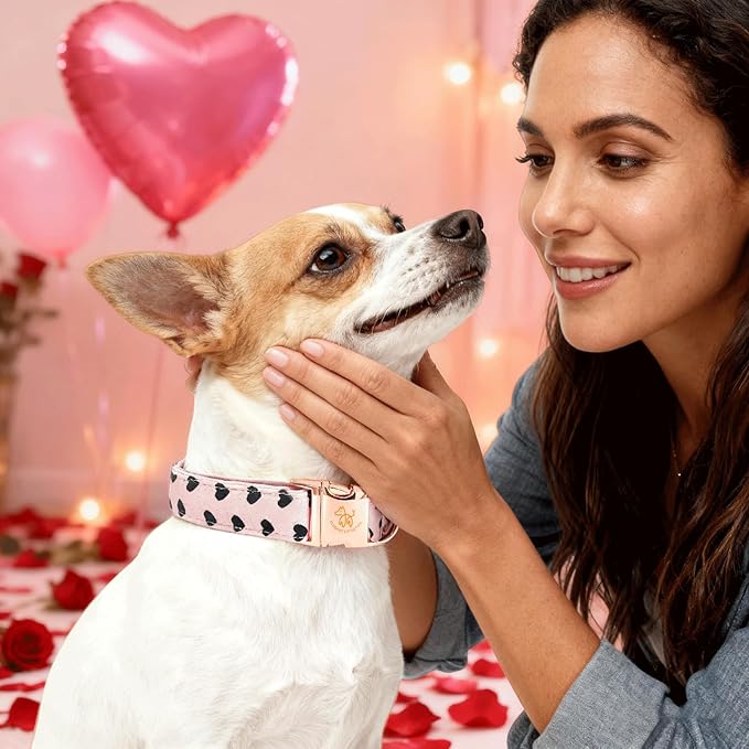 Elegant little tail Valentine's Dog Collar - Pink Black Heart Dog Collars Bowtie Pet Collars with Sturdy Metal Buckle Puppy Adjustable Collar for Small Dogs