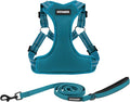 Best Pet Supplies Voyager Adjustable Step-in Flex Breathable Mesh Dog Harness for Small Medium Large Dogs Leash Set (Turquoise), XS