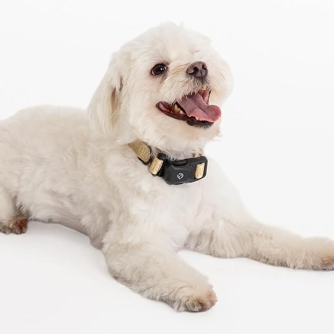2026 New Edition, Fei & Eve MagEase Dog Collar - Patented Magnetic Buckles | Fur-Safe | Premium 210D Nylon | 450LB Escape-Proof | Adjustable Fit | Small (Champagne)