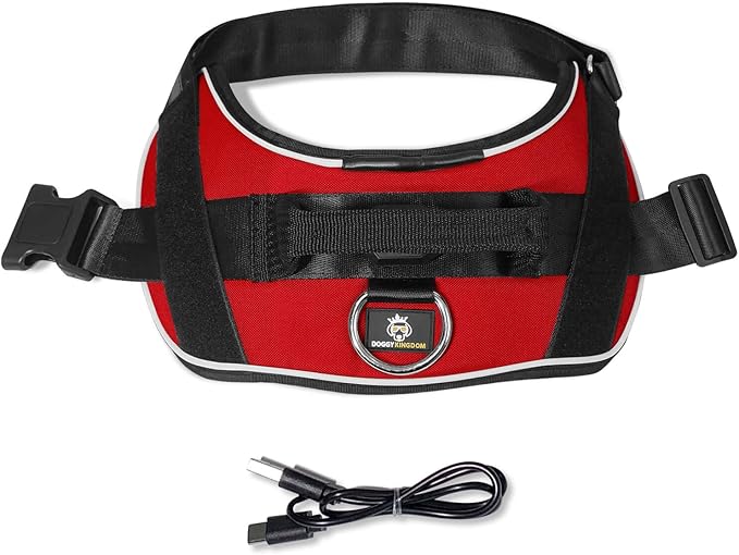 Personalized No Pull 360° LED Dog Harness with Custom Name Patches, USB Rechargeable, Adjustable, Reflective for Night Walks, Rainproof Module with 3 Modes Lasts up to 24h, Red, 2XL