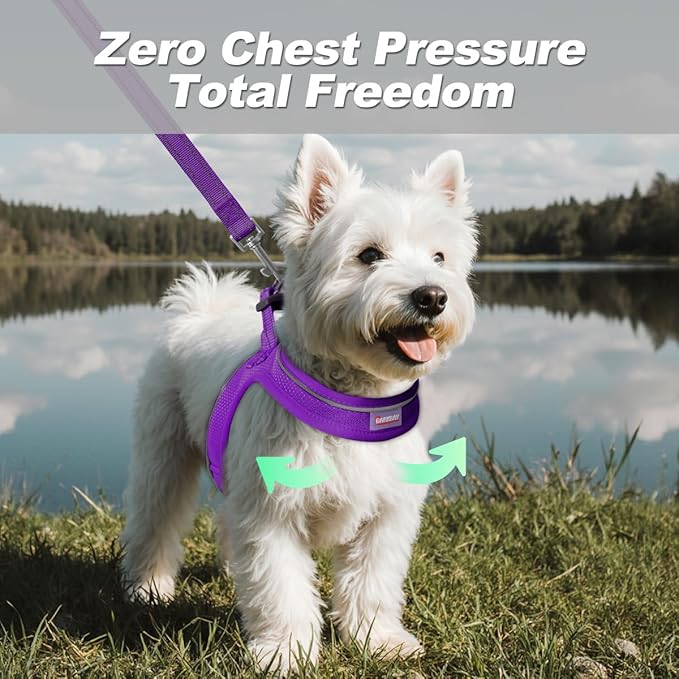 Dog Harness and Leash Set,Step in Small Sized Dog Harness,Soft Mesh,No-Chock,Reflective Adjustable,Secure with Hook & Loop Fastener,Puppy Vest for Small,Medium Dogs(Purple,L)