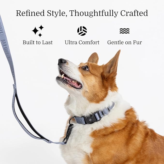 2026 New Edition, Fei & Eve MagEase Dog Collar - Patented Magnetic Buckles | Fur-Safe | Premium 210D Nylon | 450LB Escape-Proof | Adjustable Fit | Medium (Dusk Blue)