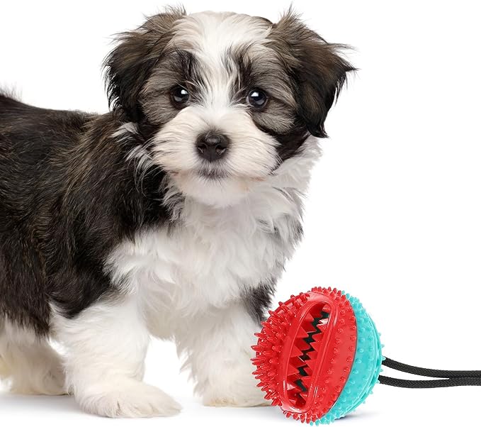 NOLITOY Interactive Suction Cup Dog Chew Toy, Rubber Tug Ball Puppy Chew Squeaky Toy for Aggressive Chewers