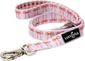 Lucy & Co. Designer Dog Leash - Pet Accessories - Thick Dog Leash - Padded Handle for Comfort - Ballet Bows - 5 Foot (White & Pink Bows, Small)