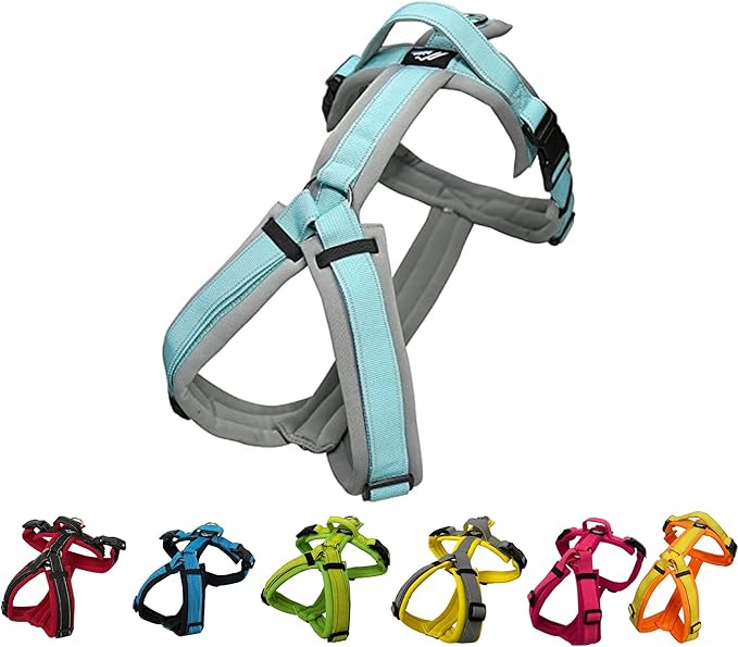 [白山:Hakusan] Zero Dog Harness Basic Type, Safe - No chocking/Hard to Disconnect, Great fit - Easy Put on and Off/Adjustable, Reflector, M - Medium Dog, Two-Tone Gray × Mint