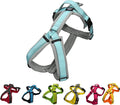 [白山:Hakusan] Zero Dog Harness Basic Type, Safe - No chocking/Hard to Disconnect, Great fit - Easy Put on and Off/Adjustable, Reflector, S - Medium Dog, Two-Tone Gray × Mint