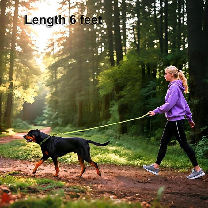 Heavy Duty Double Handle Dog Leash 6 ft Long for Total Control, Padded 2 Handle, Reflective Training Lead for Medium Large Dogs (Green, 6 FT)
