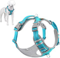 Plutus Pet No Pull Dog Harness, Release at Neck, Reflective Adjustable Dog Vest Harness, Easy Control Handle for Walking, for Small Medium Large Dogs, Cyan, L