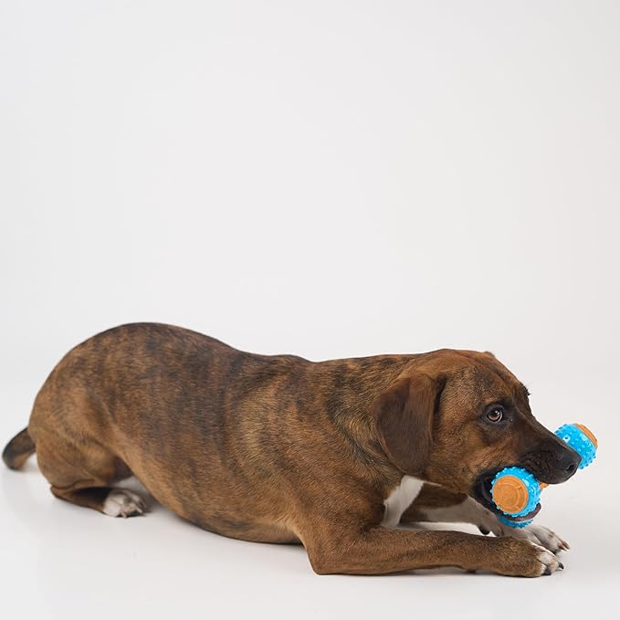 SPOT Bam-Bones PLUS Gigglers Tripod Durable Dog Chew Toy, For Large Aggressive Chewers, Bamboo Fiber & Nylon, Dual Texture, Massaging Rubber Ends, Sounds, Non-Splintering, Peanut Butter Flavor, 6 Inch
