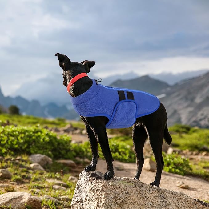 Queenmore XXL Dog Sweater, Soft Fleece Vest Pullover Jacket with Leash Hole, Warm Winter Coats for Cold Weather - Dachshund & Cat Sizes - Boy & Girl (Blue, XXL)