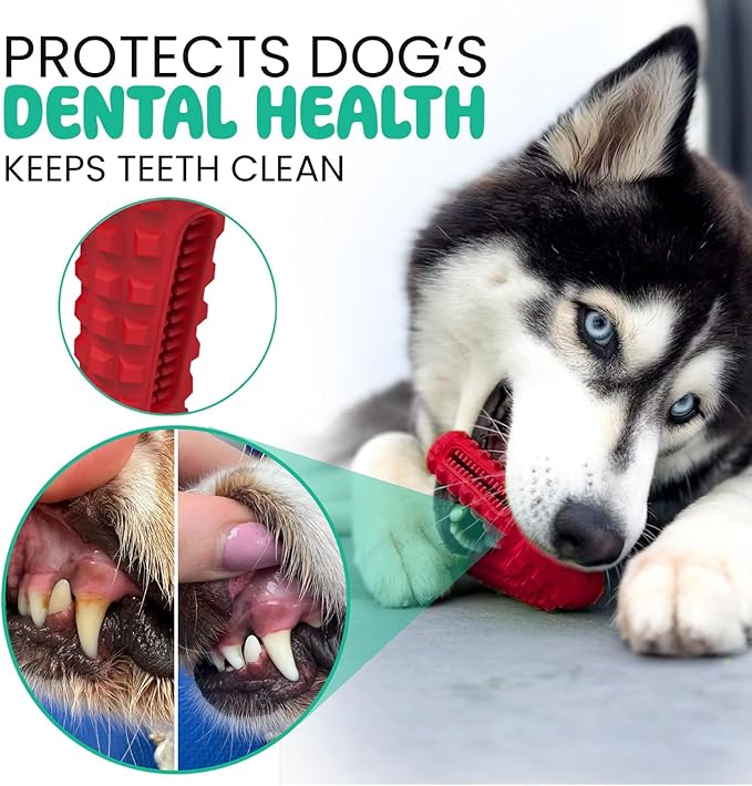 Treat Dispensing Chew Shoe Interactive Puzzle Toys - Dog Chew Enrichment Toys for Aggressive Chewers, Boredom Relief and Brain Stimulating Game Keeps Small Medium Dogs Engaged
