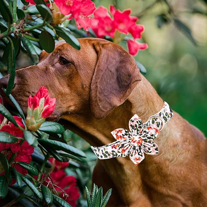 Elegant Little Tail Cute Pink Spring Flower Dog Collar with Adjustable Bowtie for Small Dogs
