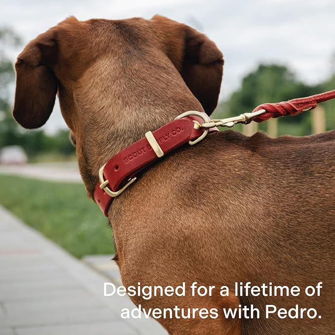 Scout Supply Classic Leather Dog Leash | Strong Heavy Duty Thick Full Grain Leather | Waterproof & Rust-Proof Brass Hardware (Red, L: 4.5 ft x 2/3 in)
