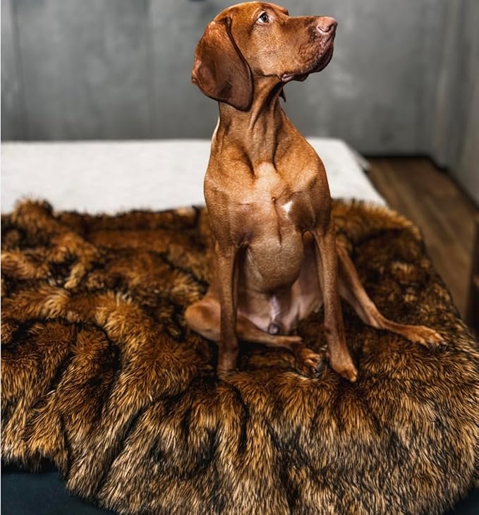 Waterproof Dog Blanket for Small, Medium & Large Dogs – Faux Fur Pet Throw for Couch, Sofa, Bed & Car – Soft, Washable, Stain-Resistant, Durable Cover - Brown 60" x 50"