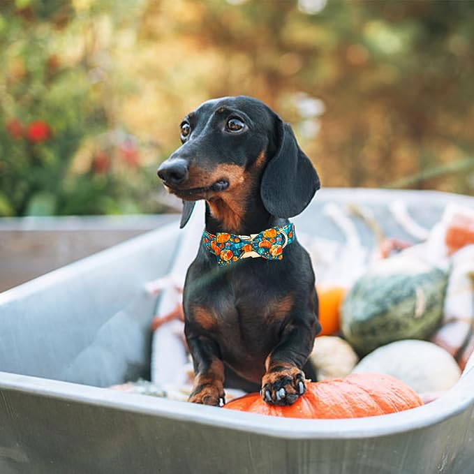 Elegant little tail Fall Dog Collar, Halloween Pet Collars with Bow Cute Pumpkin Print Puppy Collar Female or Male Cotton Adjustable Collars for Small Medium Large Dogs