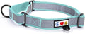 Pawtitas Personalized Dog Collar Martingale Dog Collar with Name Phone Number Reflective Martingale Dog Collar Customized Collar for Medium Dogs | Teal Custom Dog Collars for Medium Dogs