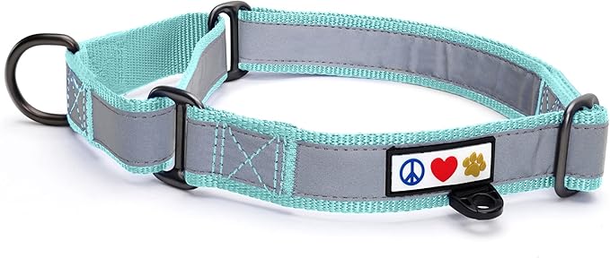 Pawtitas Personalized Dog Collar Martingale Dog Collar with Name Phone Number Reflective Martingale Dog Collar Customized Collar for Medium Dogs | Teal Custom Dog Collars for Medium Dogs
