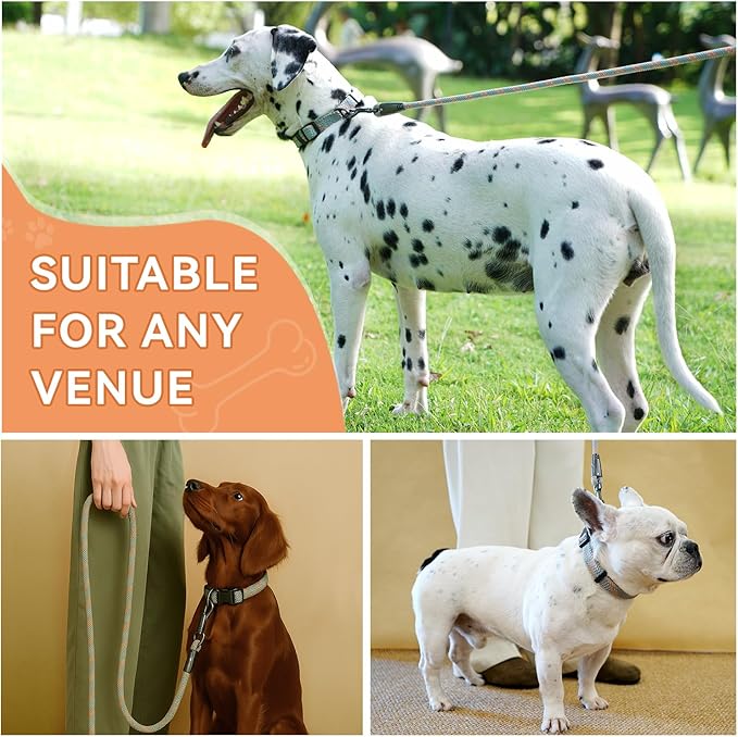 Heavy Duty 4 FT Long Nylon Leash with Adjustable, Durable & Comfortable Leash,Reflective Double Handles Lead for Control Safety Training，Dog Collars for Medium, Large Dogs