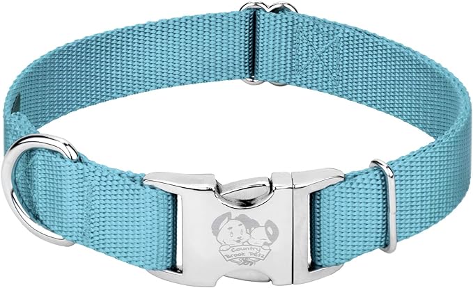 Country Brook Petz - Premium Nylon Dog Collar with Metal Buckle for Small Medium Large Breeds - 10+ Cool Colors (Medium, 3/4 Inch, Ocean Blue)