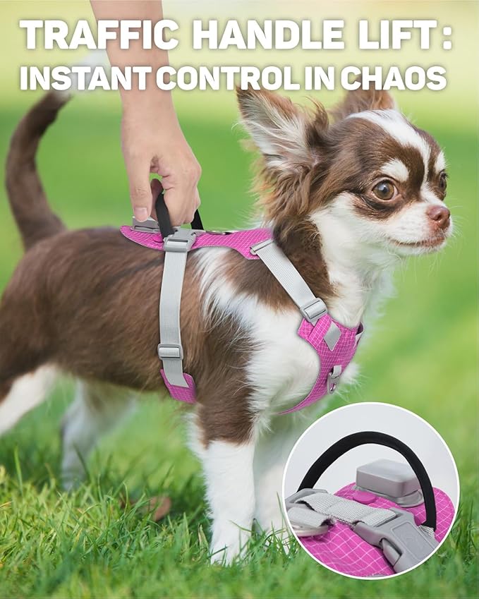 TagME No Pull Dog Harness with 2 Leash Clips,Lightweight & Visible for All-Day Walking,No Choke Pet Vest Includes AirTag Holder for Puppy,Fuchsia Pink