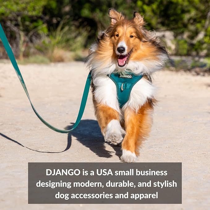 DJANGO Adventure Dog Leash – Strong, Comfortable, and Stylish Dog Leash with Solid Brass Hardware and Padded Handle - Designed for Outdoor Adventures and Everyday Use (Black)