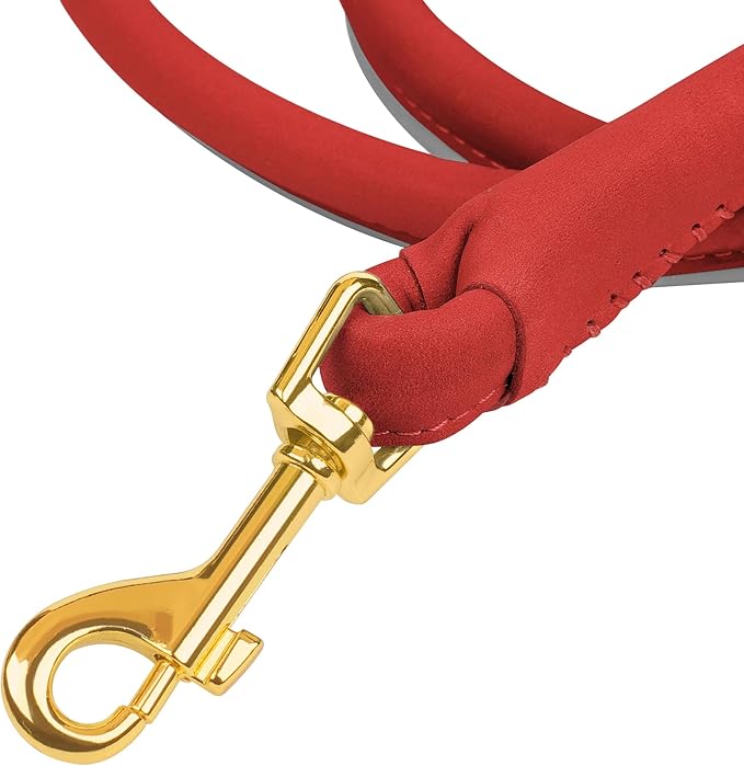 OOPSDOGGY Reflective Rolled Leather Dog Leash 6ft - Soft Training Lead for Small Medium Large Dogs Puppy - Heavy Duty Rope Puppies Leash for Outdoor Walking Running (Red, Medium/Large)
