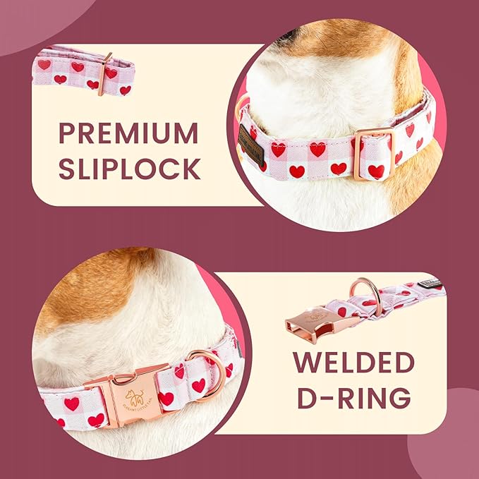 Elegant little tail Valentine's Dog Collar - Pink Plaid Red Heart Dog Collars Flower Pet Collars with Sturdy Metal Buckle Cute Puppy Adjustable Collar for Small Dogs