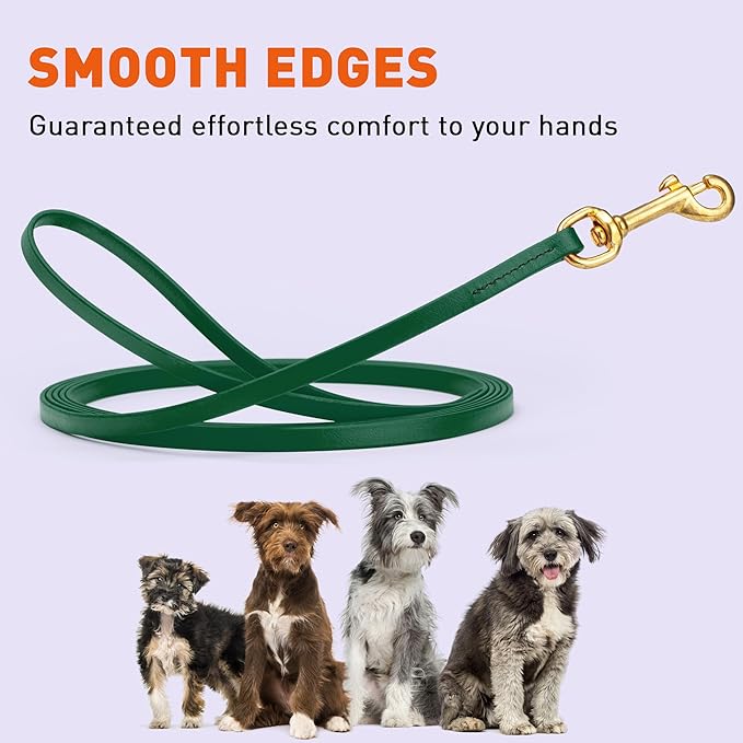 Viper Biothane K9 Working Dog Leash Waterproof Lead for Tracking Training Schutzhund Odor-Proof Long Line with Solid Brass Snap for Puppy Medium and Large Dogs, 10ft Hunter Green