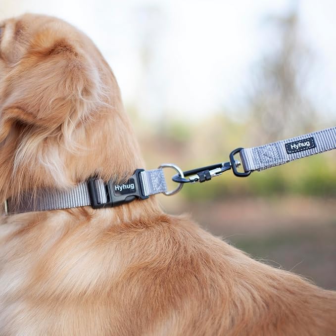 Hyhug Medium Dog Collar:Heavy-Duty Quick-Release Nylon Buckle, Adjustable & Durable, Cute Dog Collar (Medium, Sleet Gray)