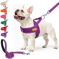 BEAUTYZOO No Pull Dog Harness Medium Sized Dog, Breathable Mesh Padded Dog Harness and Leash Set, Adjustable Reflective Escape Proof Dog Vest Harnessss Quick Fit for Training Walking, Purple M