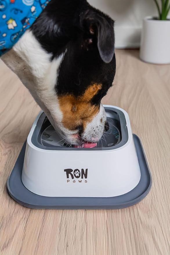 No Spill Dog Water Bowl Spill Proof & No Splash Design, Slow Drinking Dog Bowl for Home, Car & Travel, Mess-Free Water Bowl for Small, Medium & Large Dogs
