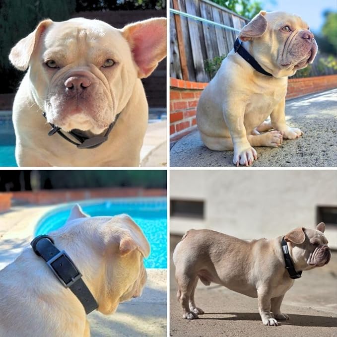 Waterproof Dog Collar, Soft Comfortable Pet Collars, Adjustable Odor Proof Heavy Duty Dog Collars Easy to Clean for Large, Medium Small Dogs by Bee N Buu (Black, Small (length8-12, Width 3/4"))