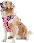 Dog Harness No Pull, 2 Leash Clips, Reflective Mesh Vest with Padded Chest, Adjustable Breathable Pet Harness for Medium Large Dogs (L, Hot Pink)