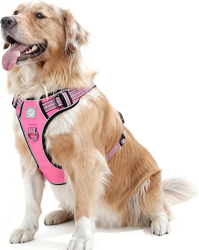 Dog Harness No Pull, 2 Leash Clips, Reflective Mesh Vest with Padded Chest, Adjustable Breathable Pet Harness for Medium Large Dogs (L, Hot Pink)