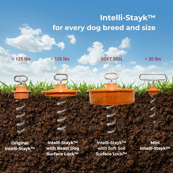 IntelliLeash Intelli-Stayk: Tailored for Soft Soils – Specialized Tie Out Stake for Dogs