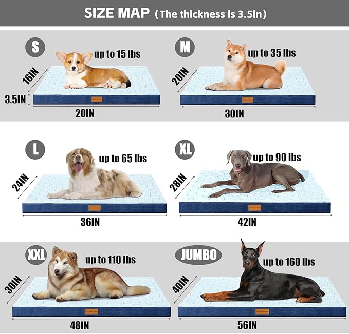Patas Lague Orthopedic XL Dog Bed Large Sized Dog 42''X28'', Waterproof Soft Comfortable Egg Crate Foam Large Pet Beds Crate Mat with Removable Washable Cover and Nonskid Bottom, Blue