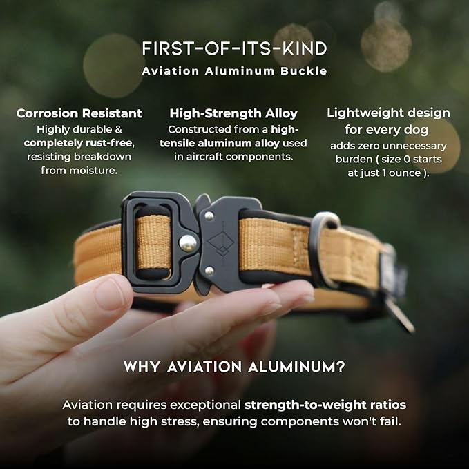 MADE TO ROAM Comfort Collar - Adjustable Nylon Dog Collar with Soft Comfortable Padding, Light Aviation Aluminum Metal Buckle for Small, Medium and Large Dogs (Alaska Daybreak, Size 2)