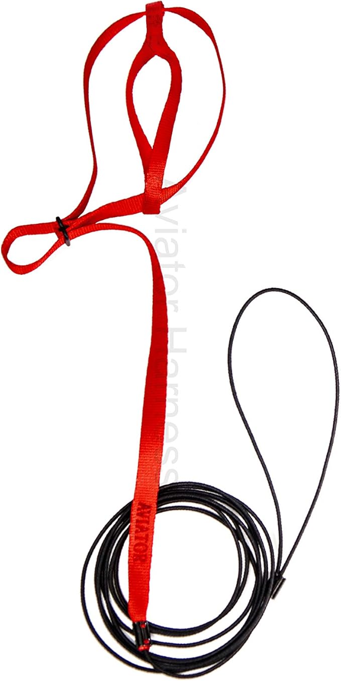 The AVIATOR Pet Bird Harness and Leash: Petite Red