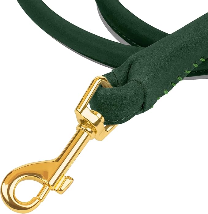 OOPSDOGGY Reflective Rolled Leather Dog Leash 6ft - Soft Training Lead for Small Medium Large Dogs Puppy - Heavy Duty Rope Puppies Leashes for Outdoor Walking Running (Green, Small)