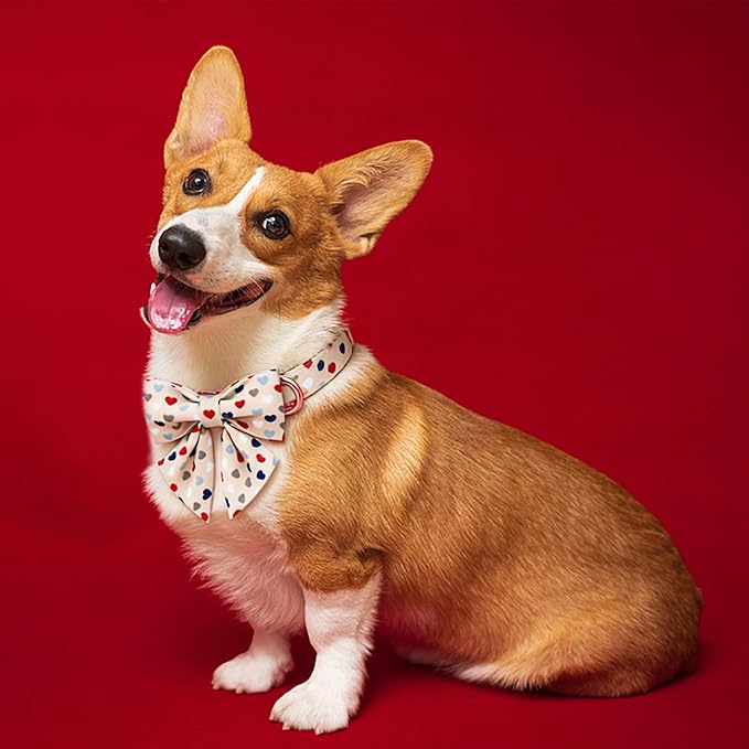 DOGWONG Dog Bow Collar Valentine's Day Dog Collar -Hearts Print Dog Collar with Bowtie Spring Dog Collars Pet Collar Bows Cute Collars,S